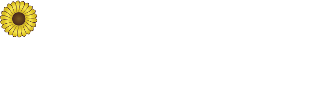 diamant foundation Logo